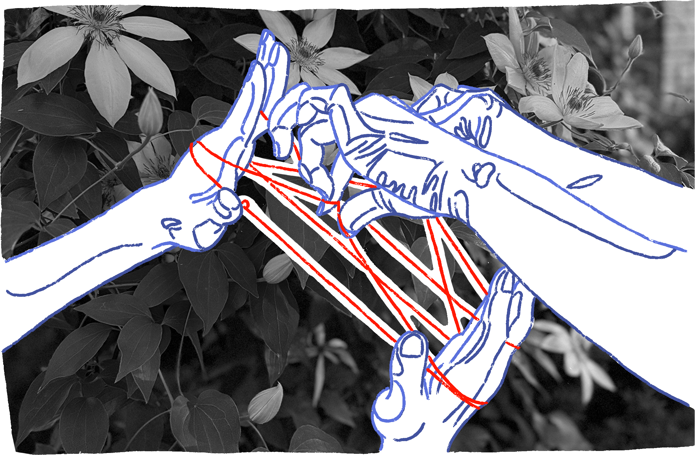 Three pairs of hands playing cat's cradle with red string, over a field of grayscale flowers